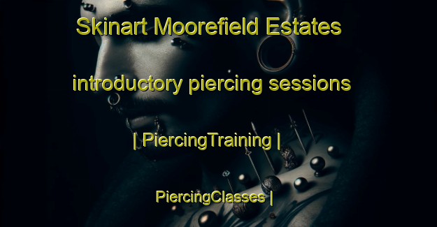 Skinart Moorefield Estates introductory piercing sessions | PiercingTraining | PiercingClasses | SkinartTraining-United States